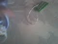 payaso diaboloco el verdadero