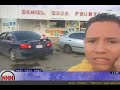 Nadi Hasi News - Dolce Paradiso