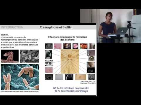 how to isolate pseudomonas aeruginosa
