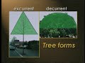 designed for tree care professionals, this instructional program provides a 5-step approach to training young landscape trees.� this program has proven helpful for the homeowner trying to figure out how to prune a tree and contains general information about wildland fire in california and defines three general choices for how communities can cope with wildland fire problems. produced by joan wright, uc cooperative extension specialist, human and community development, uc davis. series: 