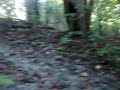 Mountain biking Ceres Park 9/5/2010 - foto 1