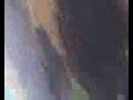 Estreando Ellus2 na Moeda