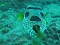 Mozambique Travel Overview and Information - Africa Travel Channel