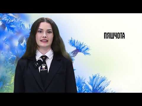 Родная мова. 36 выпуск. 30.08.26