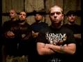 good metal versus not/shit metal