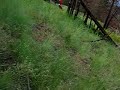 YouTubeサムネイル[lHy80hsYMWg] - 3枚目