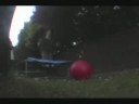 Lawrie v.s Tramp