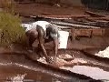 Pa\