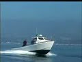 Great White Shark: Road Trip Great White Shark: Road Trip