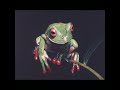 360art abstrakt real surreal Bilderfilm 360art abstrakt real surreal Bilderfilm