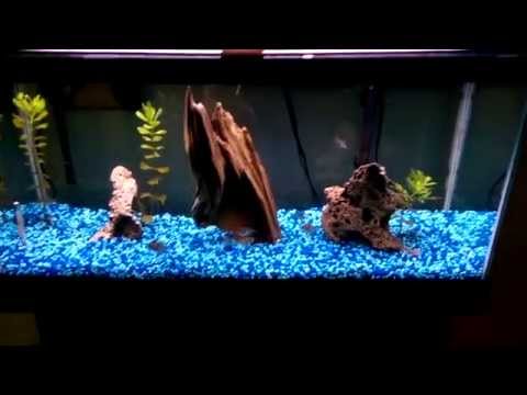 DIY Smart Home Projects | The WIZnet Times