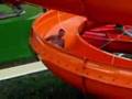 videos de Aquapark
