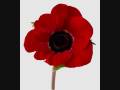 videos de Remembrance 2008 Tribute - The Official Wreath Laying