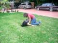 videos de Me & steff wrestle.