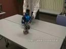 RB2000 Autonomous operation(自律動作)