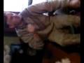 videos de Jozin z Bazin by Grzes Turysta by savio&smile