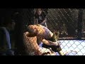 Spartan MMA-Matthew Boyle vs James Heelan, Tribal Warfare(2)