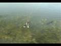 Awesome Paramotoring Adventure!! Powered Paragliding Skills!