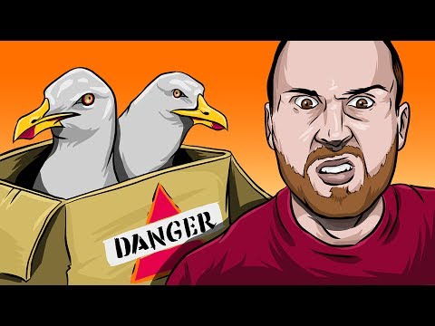TOO MANY SEAGULLS (Garry's Mod Murder)