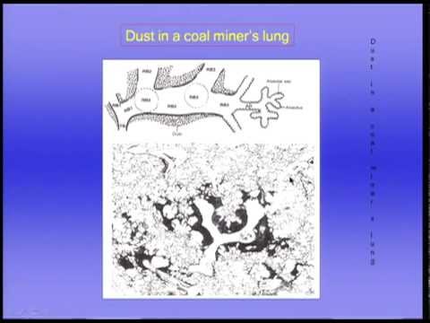 ventilation - Lectures in Respiratory Physiology, John B West MD, PhD.