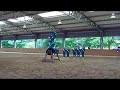 Voltigier-Vorführung d. LRV Spandau Dorffest in Pessin