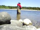 casting flyfish