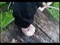 Greenwood Heights Rd., Freshwater Extraction, Part 4