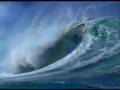Assistir ao v�deo