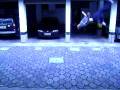 videos de Flash - Kick - Alberto