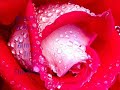 Mohhamad - Still Love You