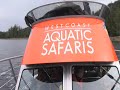 West Coast Aquatic Safaris Trip 1 West Coast Aquatic Safaris Trip 1