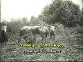Video Karaoke - Tamo daleo