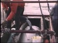 what seaworld doesn't want you to know.
