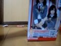 AKB48 トレーディングコレクション 3BOX その5