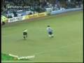 goles y accidentes estupidos del futbol