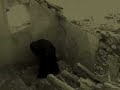 The Eternal Fall - Angsthaus