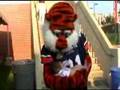 Aubie-2007-2008-High