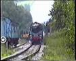 75029 & 3872 Deeside Halt