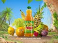 Punica Ohne Song