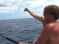 Giant black marlin fishing the dream Giant black marlin fishing the dream