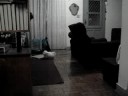 Lillo Kitty 7