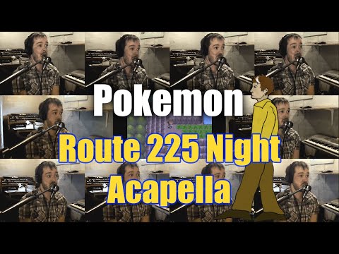 how to get to rt. 225 in pokemon diamond