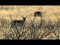 2012 Lone Star Land Steward: Double H Ranch - Texas Parks and Wildlife [Official]