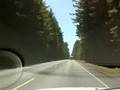 Redwood National Park - Highway 101