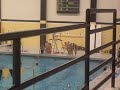 Swim Class \