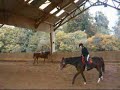 Capucine avec Bic reprise de dressage galop 7