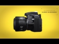 Nikon D3200 Chapter 4
