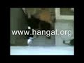 Click here to watch this video Siswi SMU Ngentot di Kamar mandi.wmv