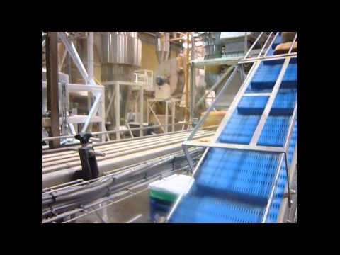 Gough Hygienic Conveyor - Bread Loaves