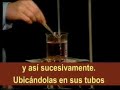 Experiencias Clasicas de Biologia: Permeabilidad de membrana 1